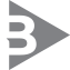 Icon Bergmann Advisors