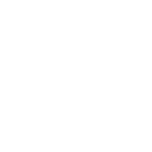 01 Vw