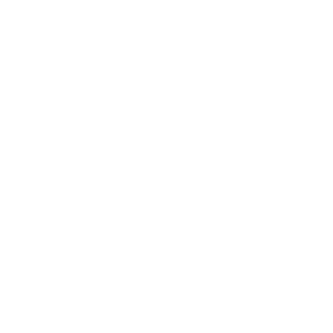 06 Formula